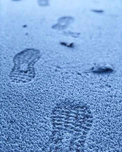 shoe prints